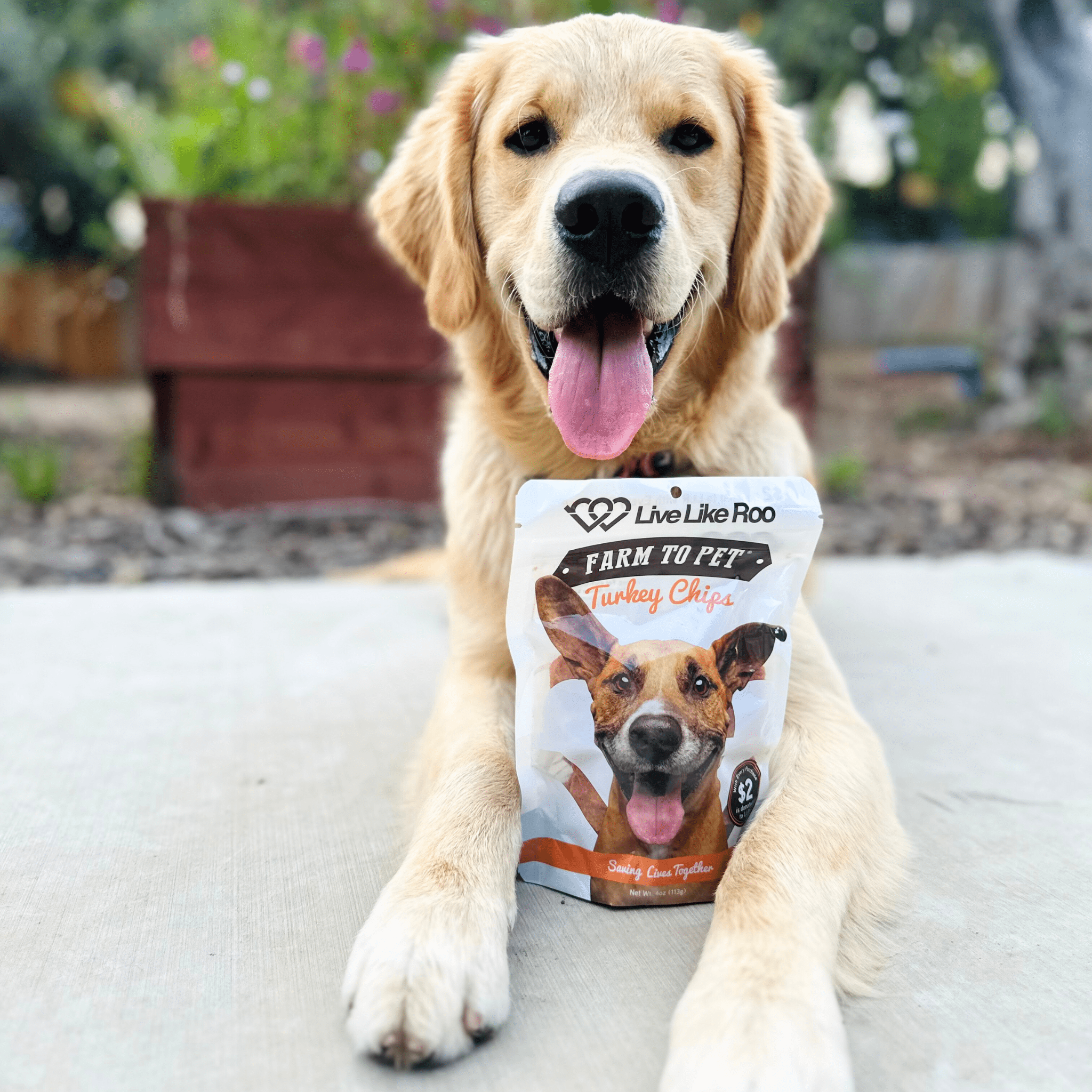 Dog Treats