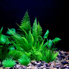 Artificial Underwater Plastic Plants Aquarium Fish Tank Aquatic Fake Shrub Green Water Grass Viewing Simulation Decoration