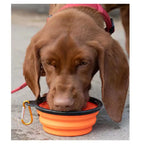 Foldable Silicone Pet Bowl Portable Dog Water Feeding Dish Outdoor Travel Bowl Lightweight Collapsible Bowl For Camping Hiking