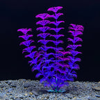 1PC Plastic Simulated Aquatic Plants For Fish Tank Landscaping, Aquarium Decoration, Seagrass Ornaments