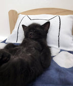 Cat Kicker Bed Pillow Catnip Kicker Toy
